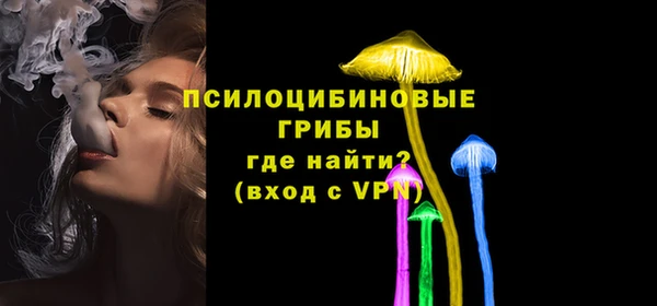 эйфоретик Мегион