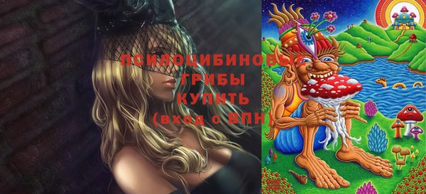 ALPHA PVP Медвежьегорск