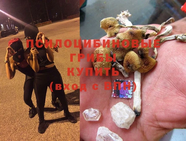 ALPHA-PVP Медногорск
