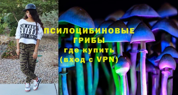 ALPHA-PVP Медногорск