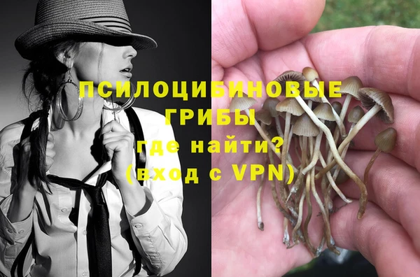 ALPHA PVP Медвежьегорск