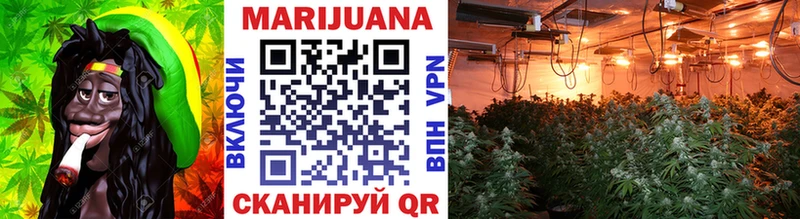 где можно купить   darknet какой сайт  Бошки Шишки гибрид  Дно  мега вход 